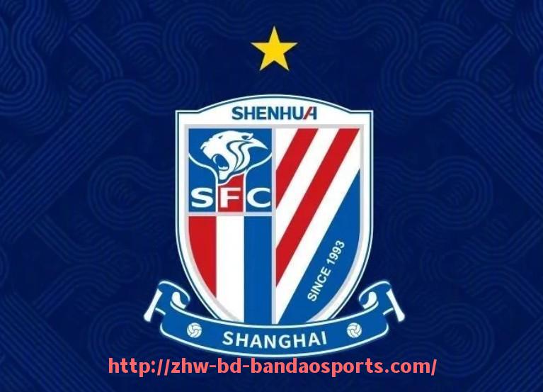 半岛体育-法甲球员2024赛季比赛态度及心理状态综合分析